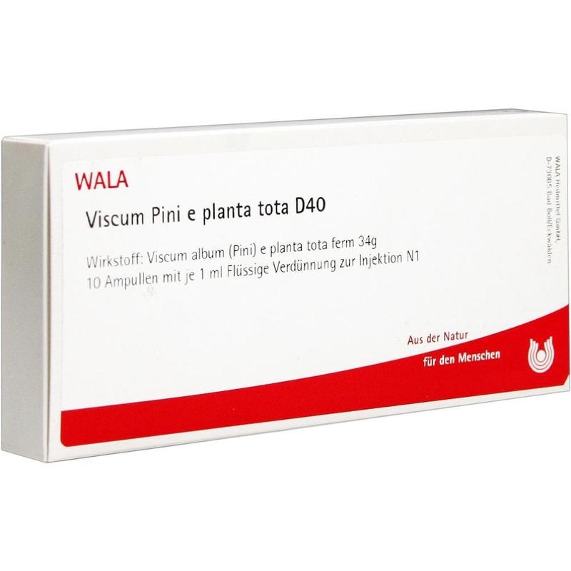 VISCUM PINI e planta tota D 40 Ampullen