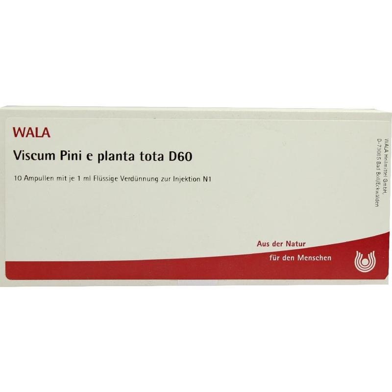 VISCUM PINI e planta tota D 60 Ampullen