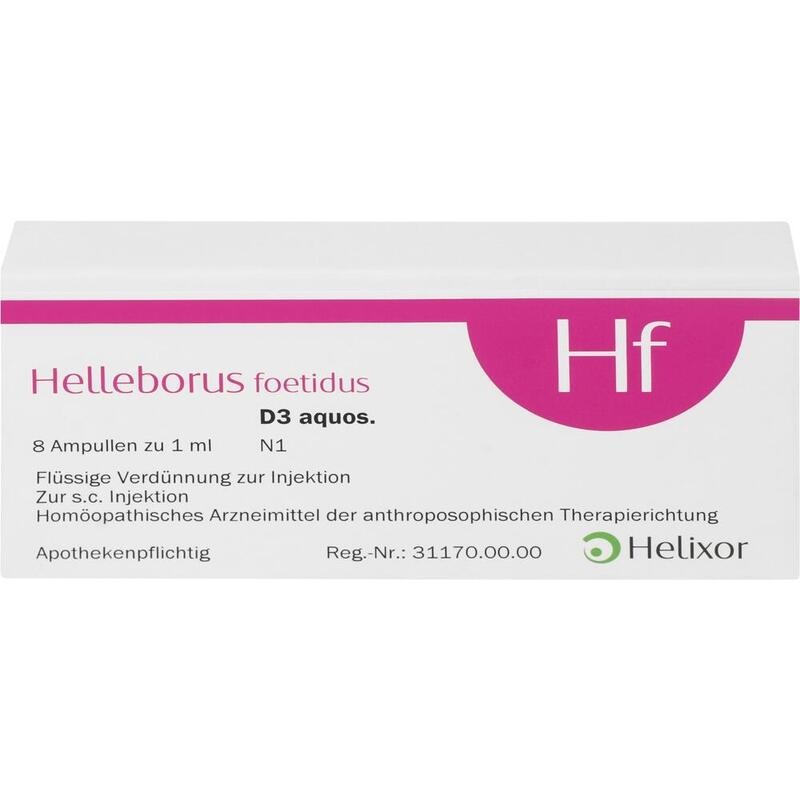 HELLEBORUS FOETIDUS aquos. D 3 Ampullen