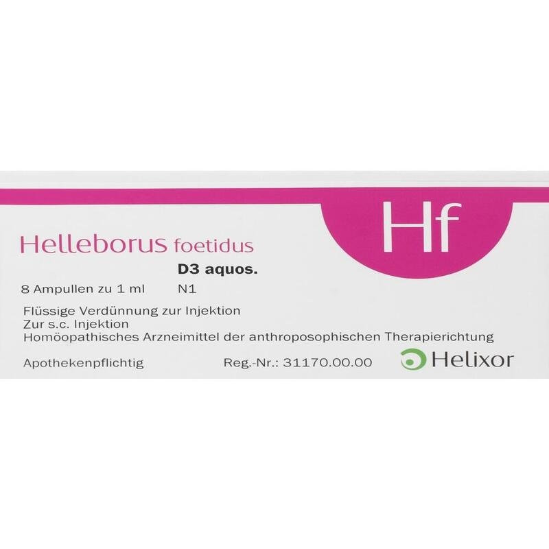 HELLEBORUS FOETIDUS aquos. D 3 Ampullen