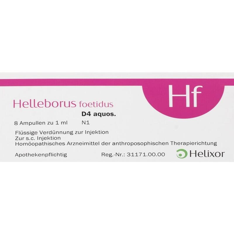 HELLEBORUS FOETIDUS aquos. D 4 Ampullen
