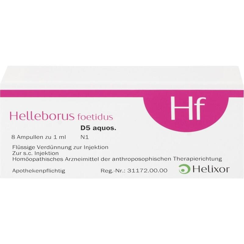 HELLEBORUS FOETIDUS aquos. D 5 Ampullen
