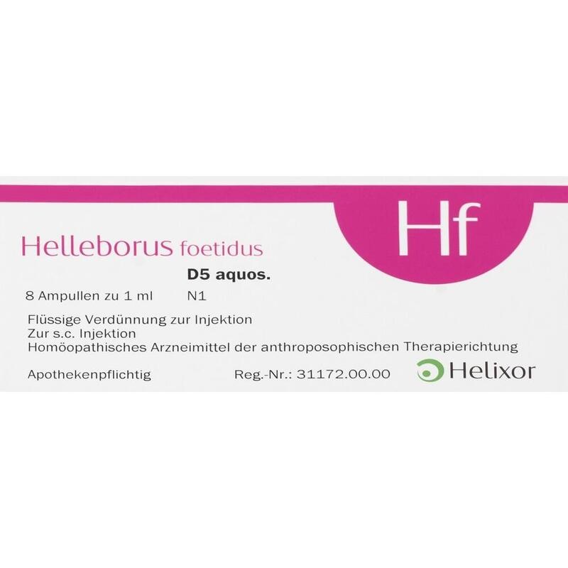 HELLEBORUS FOETIDUS aquos. D 5 Ampullen