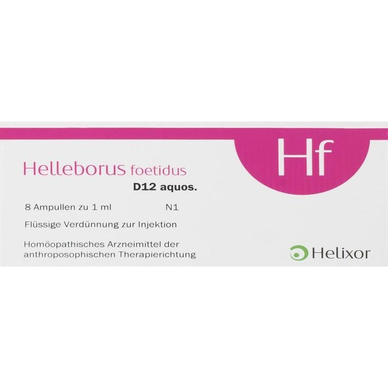 HELLEBORUS FOETIDUS aquos. D 12 Ampullen