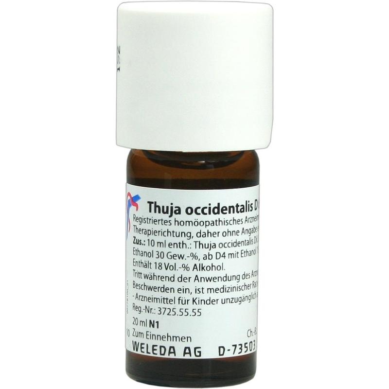 THUJA OCCIDENTALIS D 6 Dilution