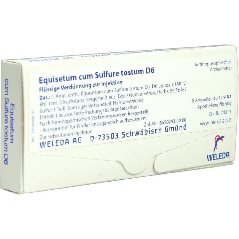 EQUISETUM CUM Sulfure tostum D 6 Ampullen