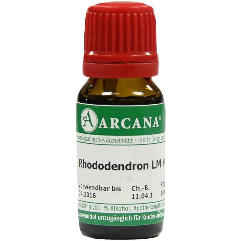 RHODODENDRON LM 6 Dilution