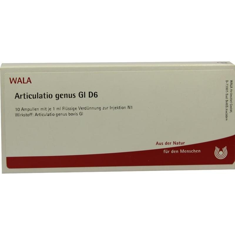 ARTICULATIO genus GL D 6 Ampullen