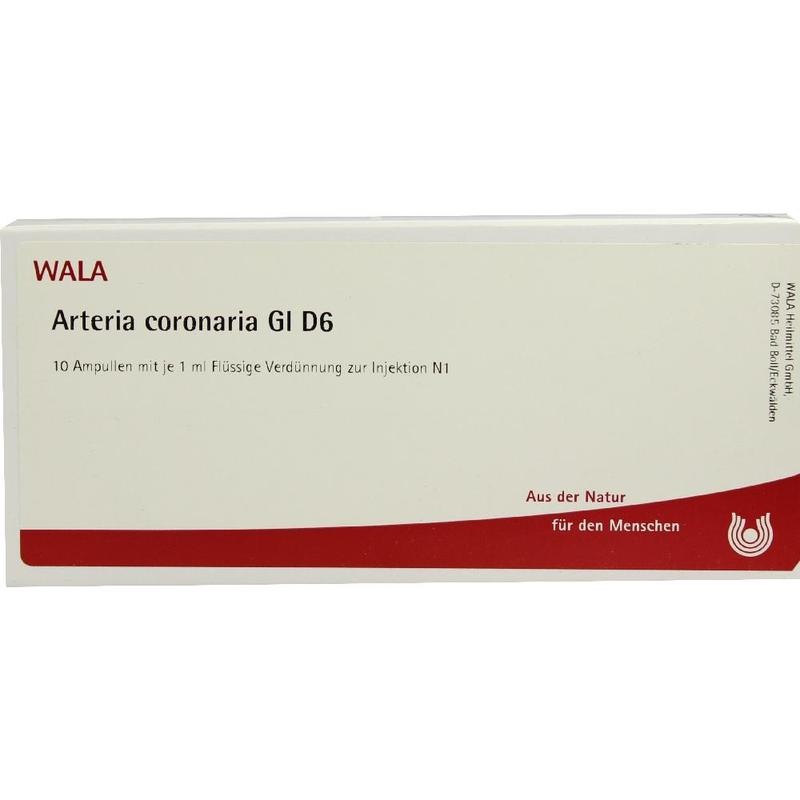 ARTERIA CORONARIA GL D 6 Ampullen