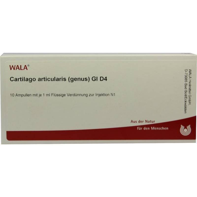 CARTILAGO articularis genus GL D 4 Ampullen
