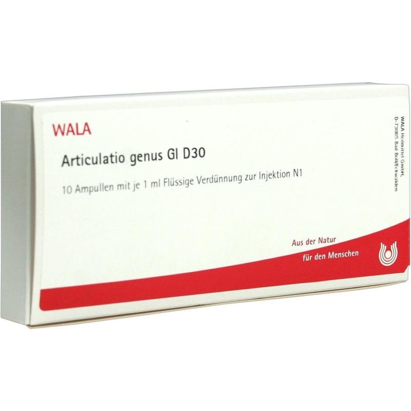 ARTICULATIO genus GL D 30 Ampullen