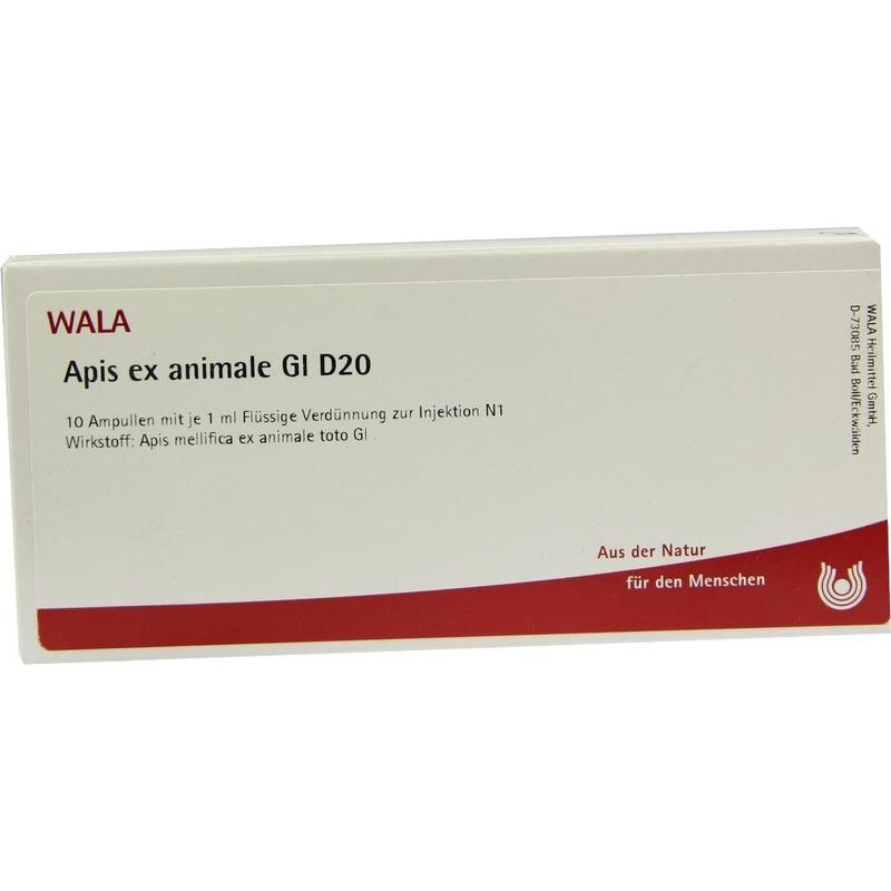 APIS EX animale GL D 20 Ampullen