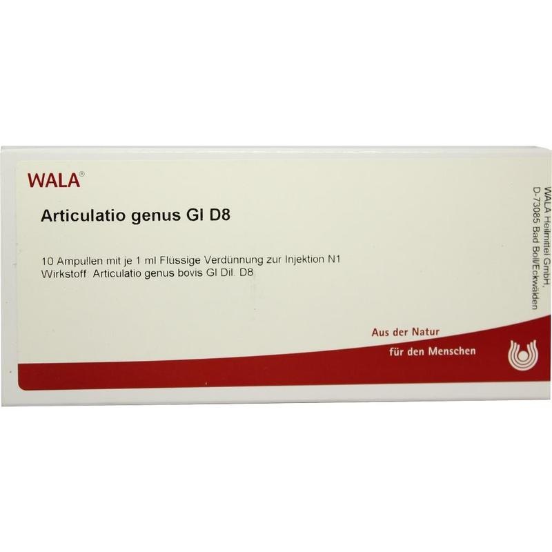 ARTICULATIO genus GL D 8 Ampullen