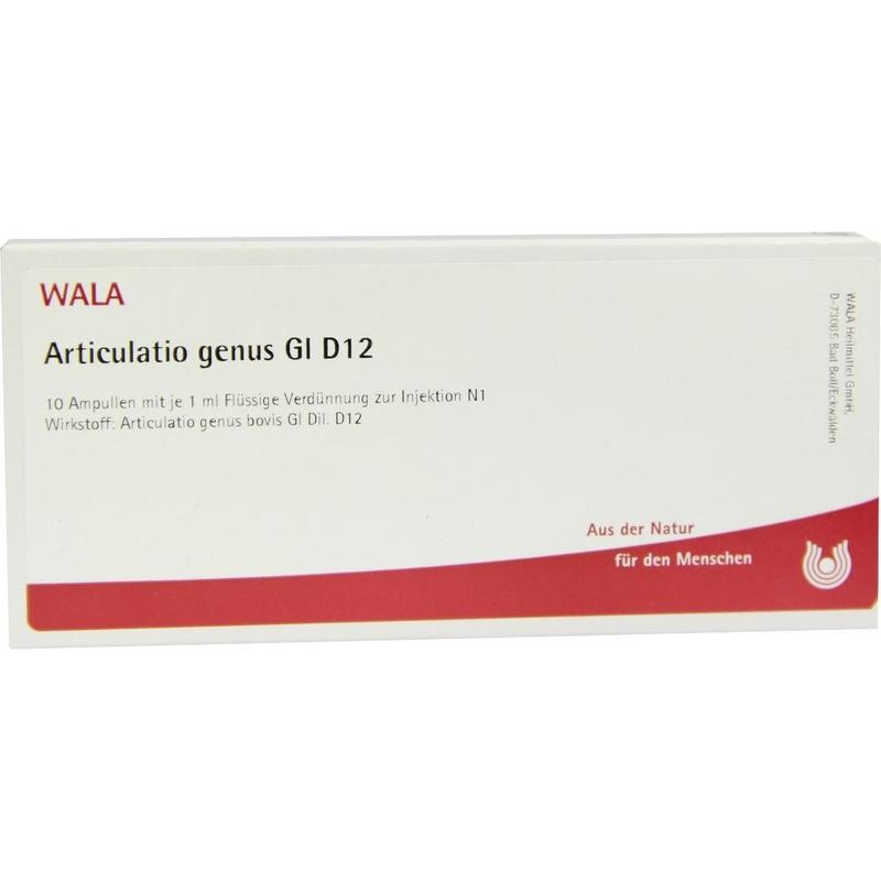 ARTICULATIO genus GL D 12 Ampullen