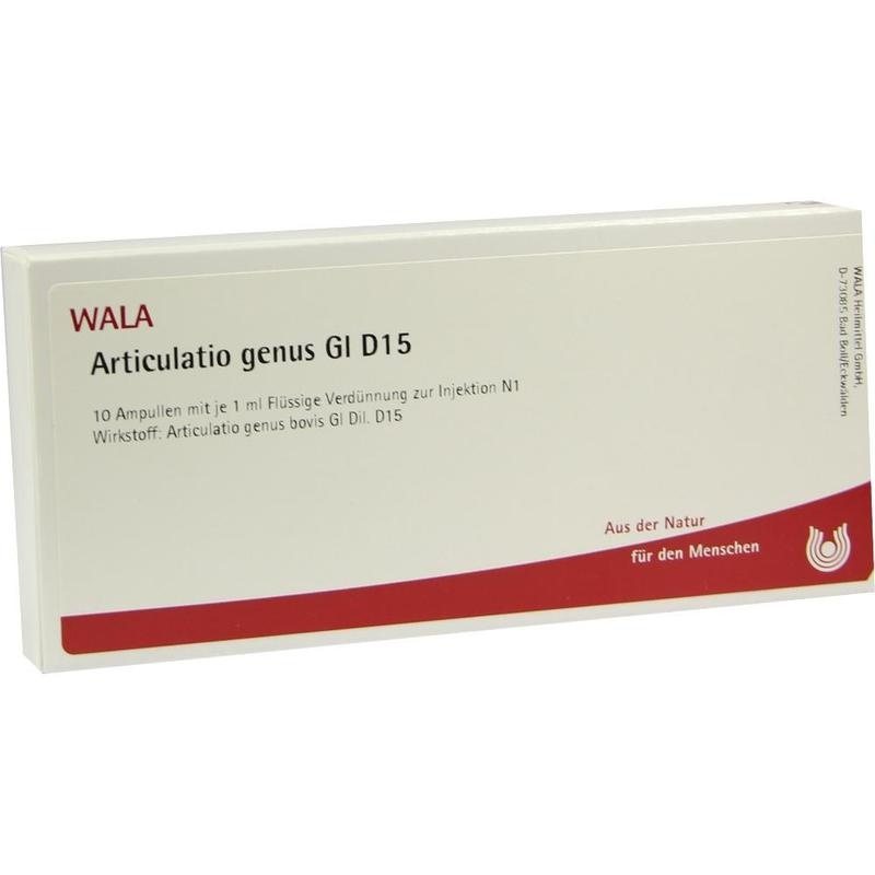 ARTICULATIO genus GL D 15 Ampullen