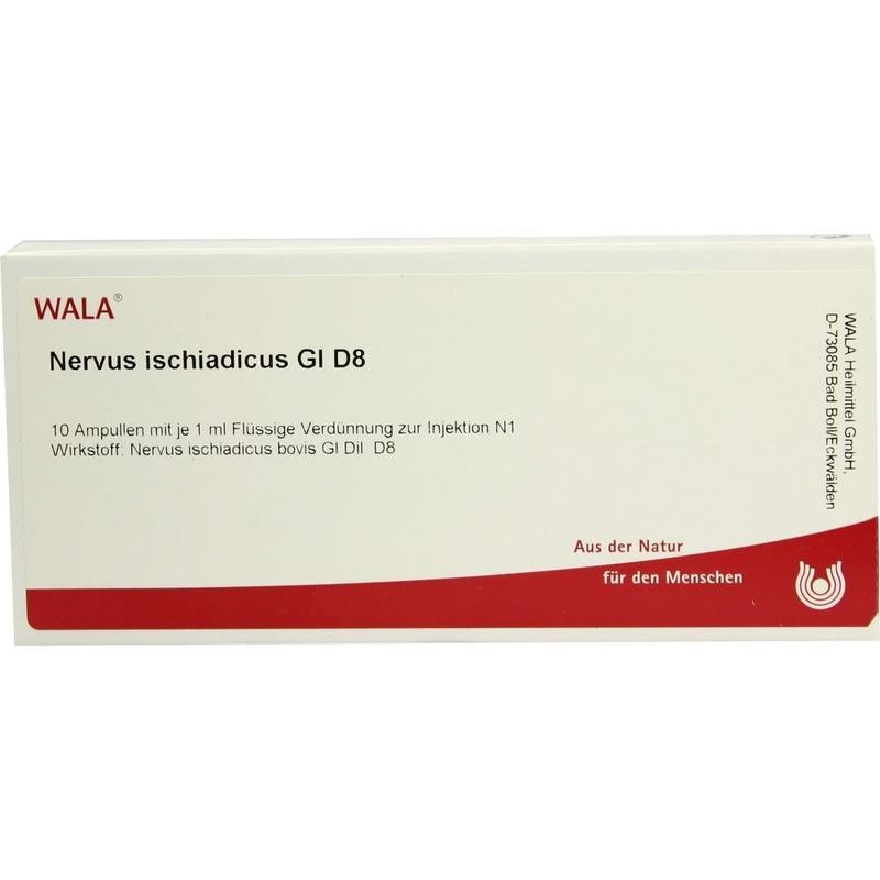 NERVUS ISCHIADICUS GL D 8 Ampullen