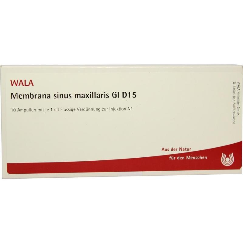 MEMBRANA sinus maxillaris GL D 15 Ampullen