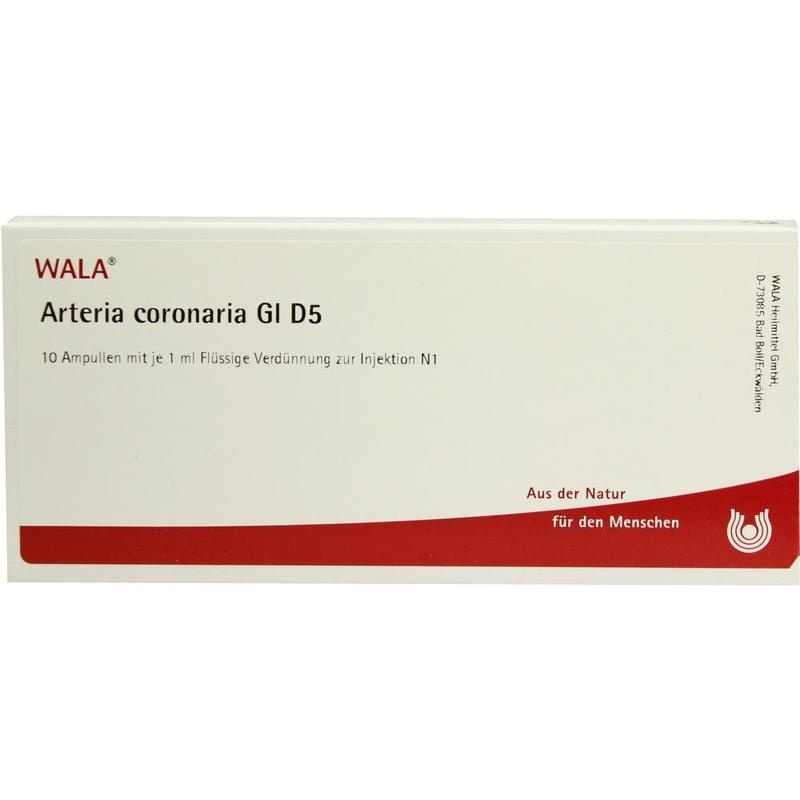 ARTERIA CORONARIA GL D 5 Ampullen