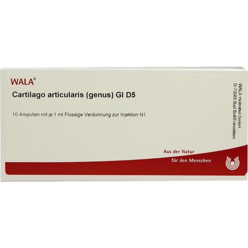 CARTILAGO articularis genus GL D 5 Ampullen