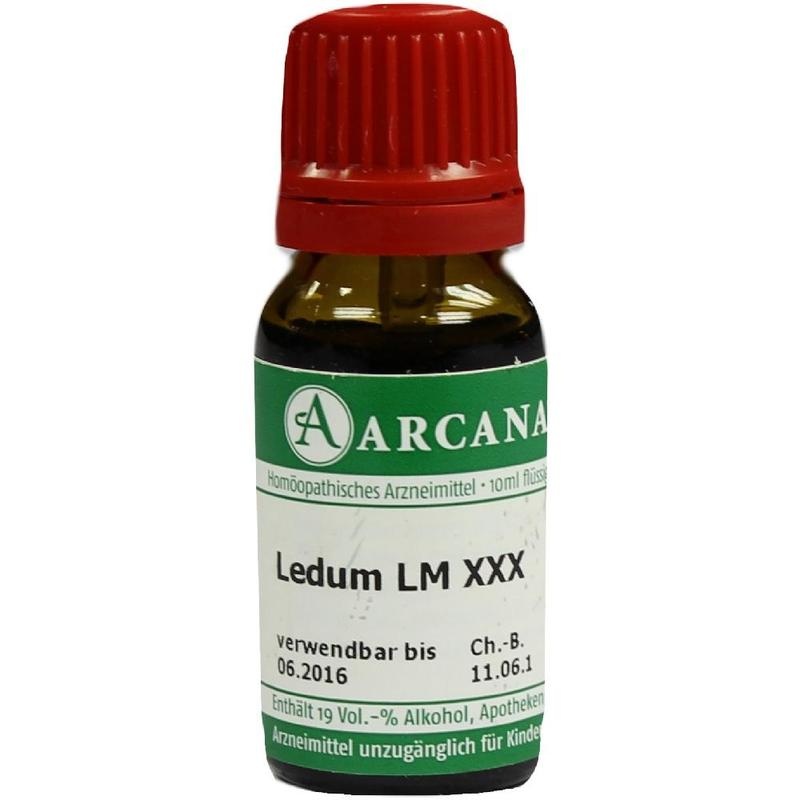LEDUM LM 30 Dilution