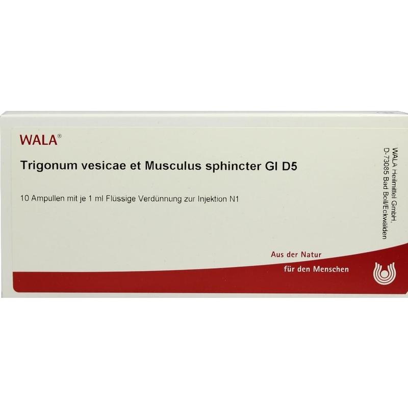 TRIGONUM vesicae et Musculus sphincter GL D 5 Amp.