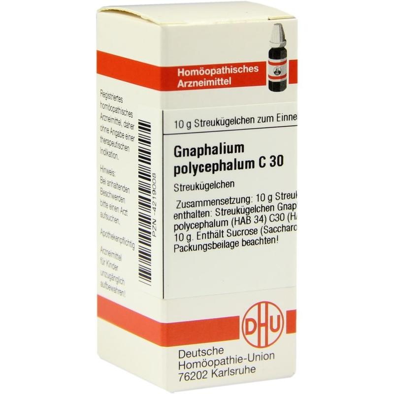 GNAPHALIUM POLYCEPHALUM C 30 Globuli