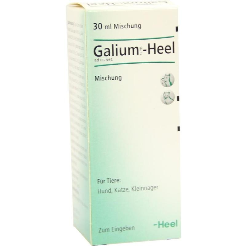 GALIUM COMP.-Heel ad us.vet.Tropfen