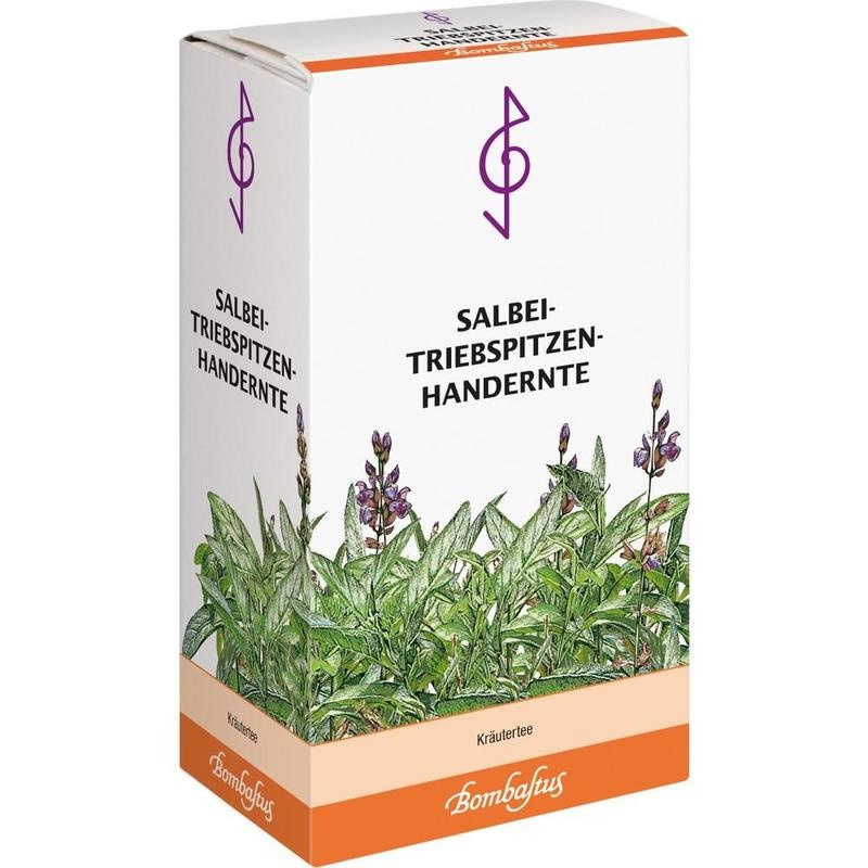 SALBEI TRIEBSPITZEN Tee Handernte