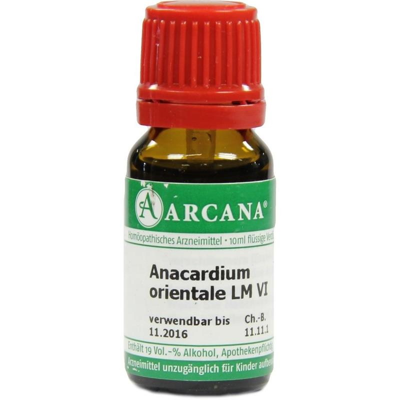 ANACARDIUM ORIENTALE LM 6 Dilution