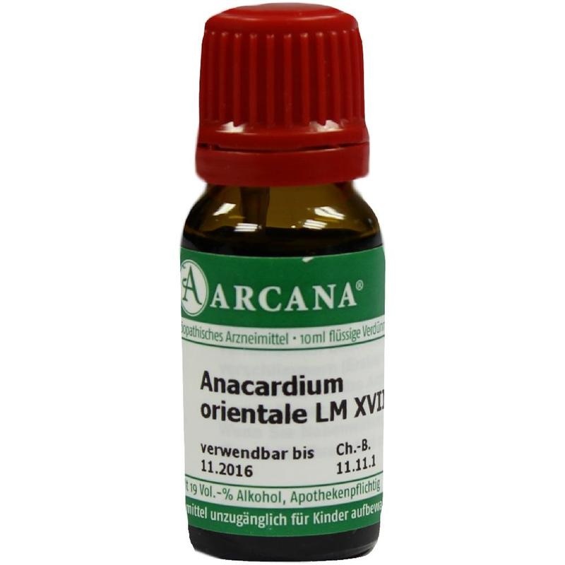 ANACARDIUM ORIENTALE LM 18 Dilution