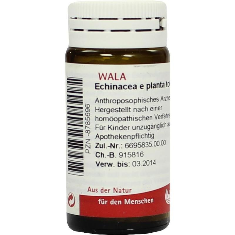 ECHINACEA E planta tota D 3 Globuli