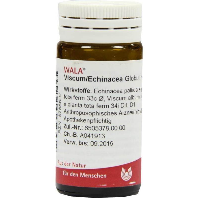 VISCUM ECHINACEA Globuli