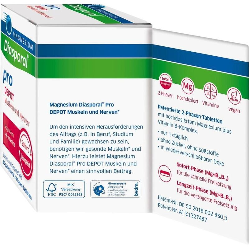 MAGNESIUM DIASPORAL pro B-Vit.DEPOT Musk.+Nerv.Tab