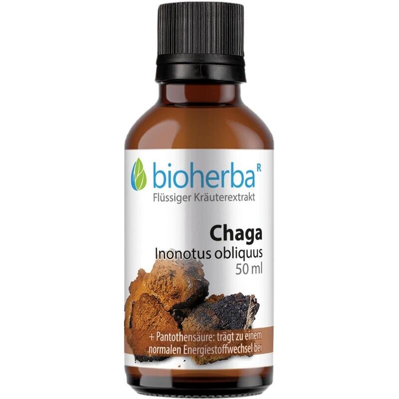 CHAGA INONOTUS obliquus Tinktur