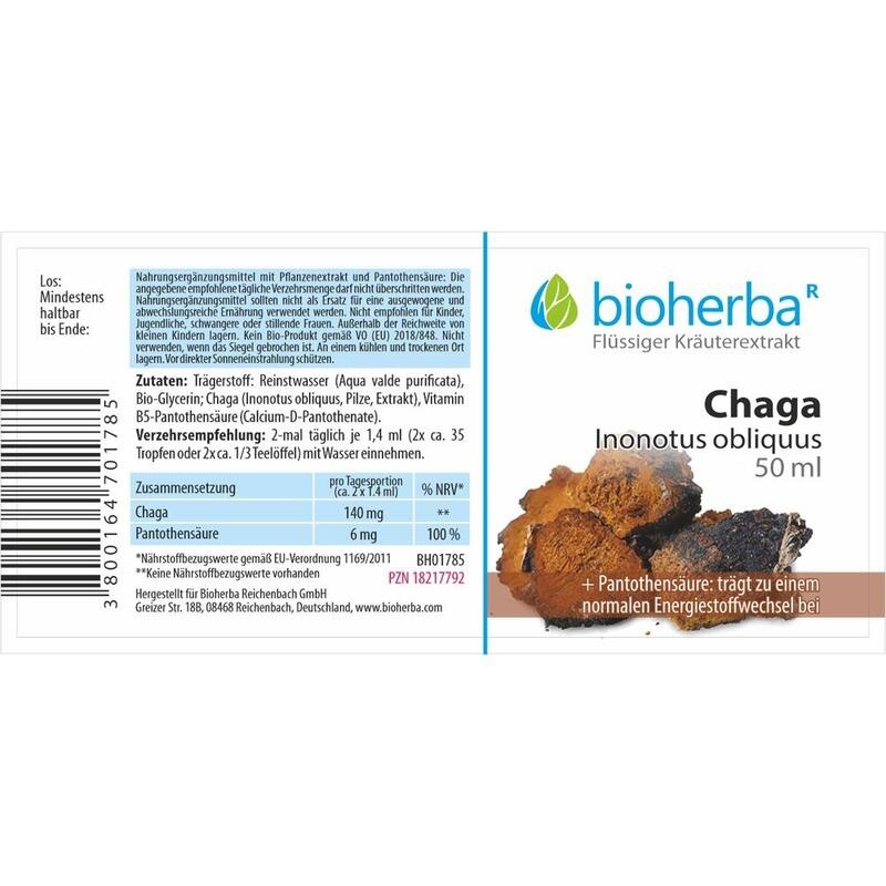 CHAGA INONOTUS obliquus Tinktur