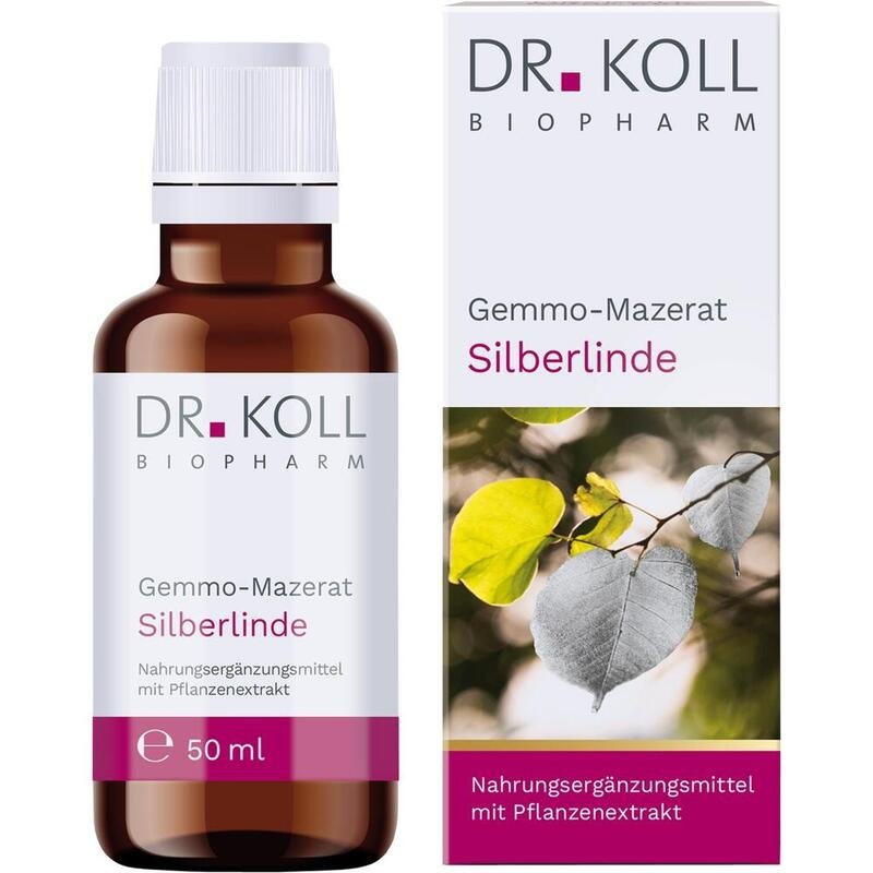 GEMMO Mazerat Silberlinde Dr.Koll Tilia tomentosa